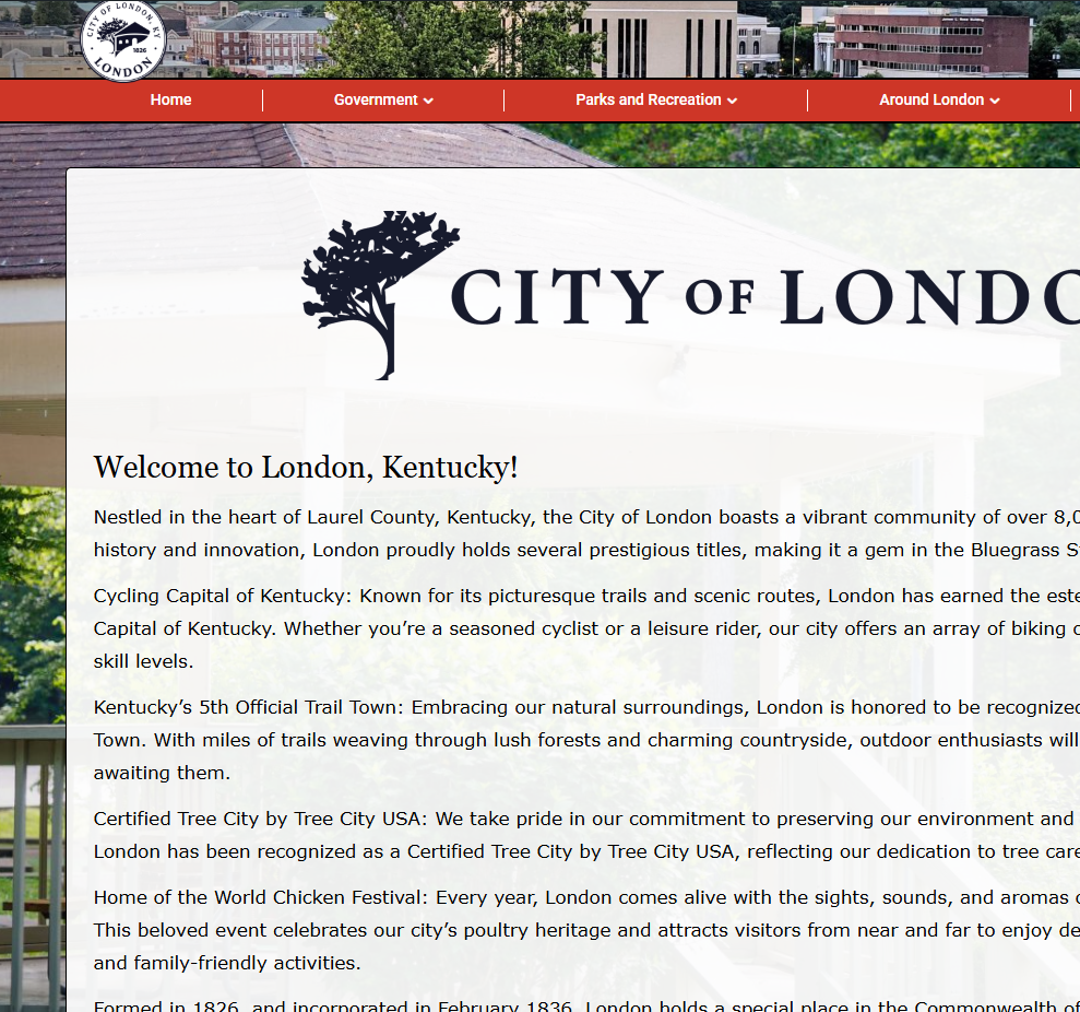 Screenshot of the new city website